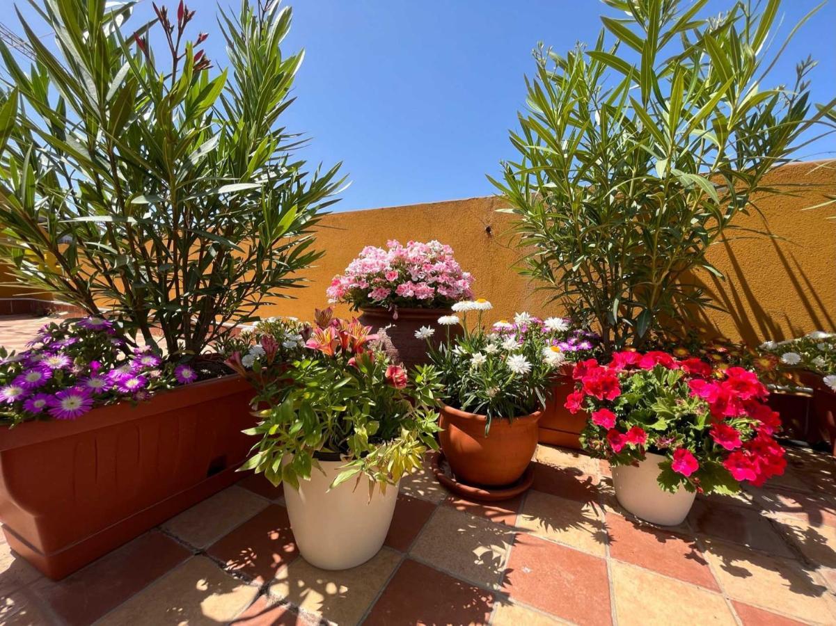 Casa Yvona Apartment Alghero Exterior photo